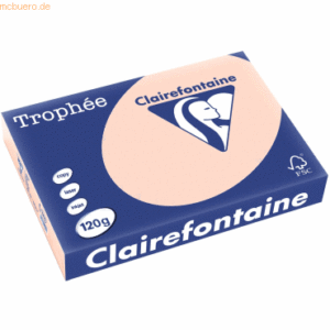 5 x Clairefontaine Kopierpapier Trophee A4 120g/qm VE=250 Blatt lachs