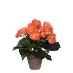 Kunstpflanze Mica Begonia im Topf lachs, 25 x 20 cm, Mica Decorations