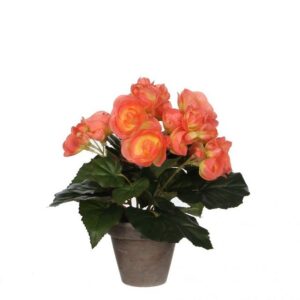 Kunstpflanze Mica Begonia im Topf lachs, 25 x 20 cm, Mica Decorations