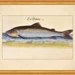 Kunstdruck Ein Salmen atlantischer Lachs Wanderfisch Leonhardt Baldner 066 Gerahm, (1 St)